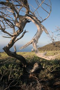 Gruppe_El-Hierro_Foto_Flechtner068