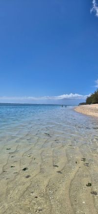 Strand Saint Gilles &copy;Susanne Reuter 