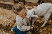 Lammetjes knuffelen - foto Schapenboerderij Texel